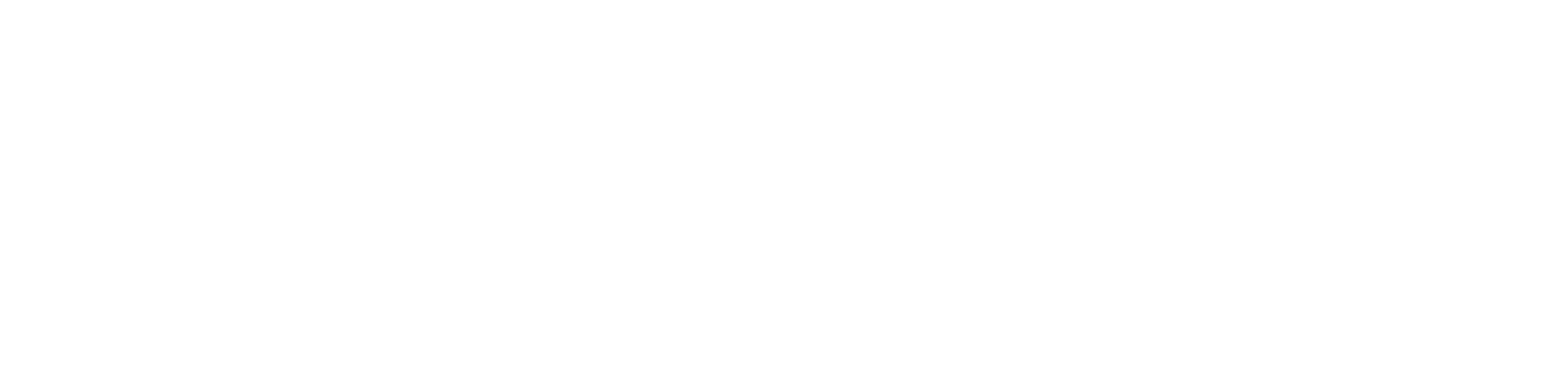Navigate White Logo (2)